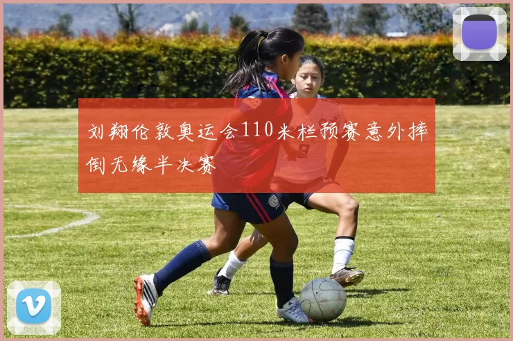 刘翔伦敦奥运会110米栏预赛意外摔倒无缘半决赛