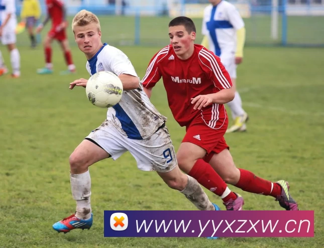 多媒体互动体验