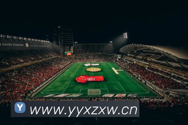 中欧(zoty)·中国体育官方网站APP 体育赛事宣传图